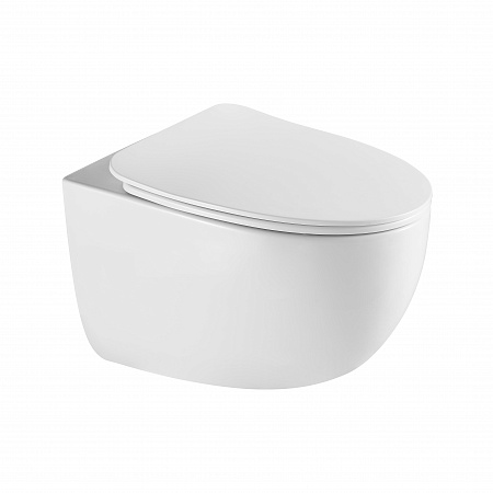 Подвесной унитаз безободковый Terminus Енисей Монолит 560х390 белый Ангарск - фото 2