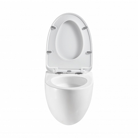 Подвесной унитаз безободковый Terminus Енисей Монолит 560х390 белый Ангарск - фото 5